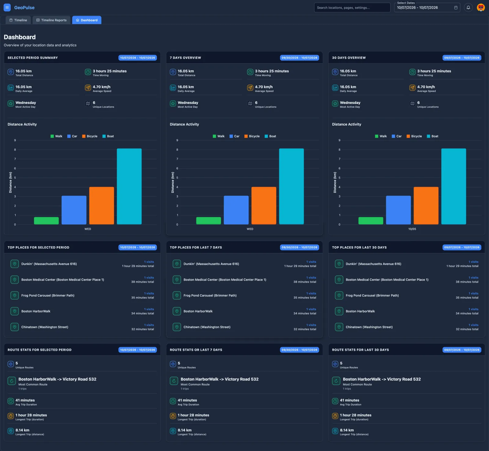 Dashboard with period summaries, distance charts, top places, and route stats